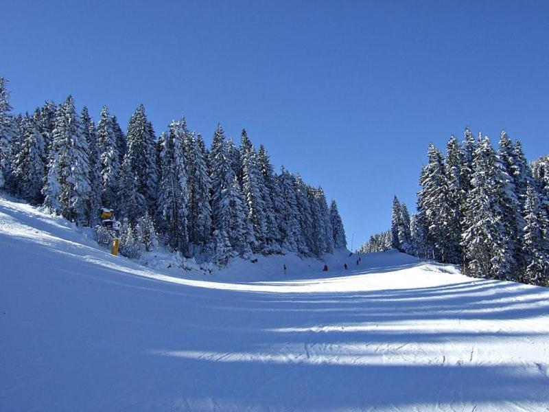 L&N Apartmani Kopaonik-Milmari Resort Luaran gambar