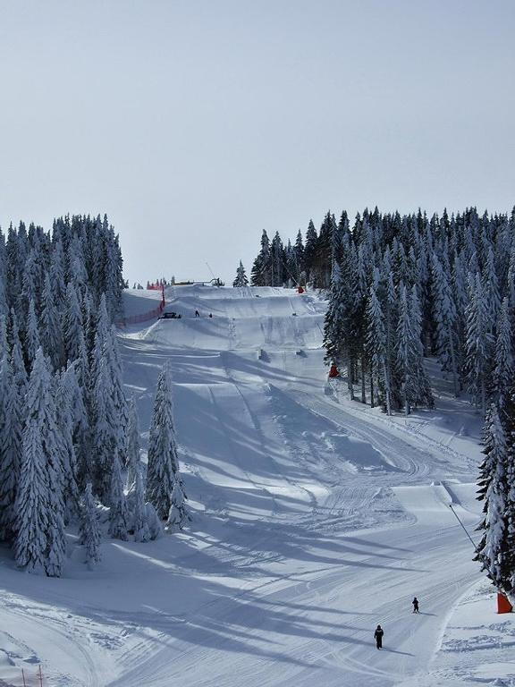 L&N Apartmani Kopaonik-Milmari Resort Luaran gambar