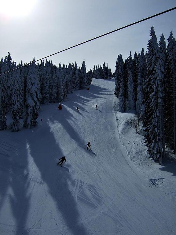 L&N Apartmani Kopaonik-Milmari Resort Luaran gambar